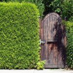 Privacy Perfected: Top Tips for Shielding Your Home from Prying Eyes