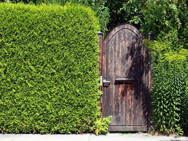 Privacy Perfected: Top Tips for Shielding Your Home from Prying Eyes