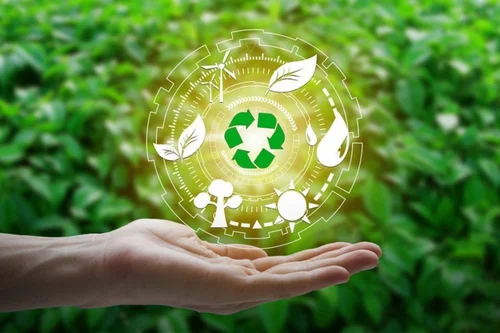 Leveraging Effective Waste Management Strategies for Environmental Sustainability