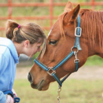 The Ultimate Guide to Equine Therapy Programs: Benefits and Techniques