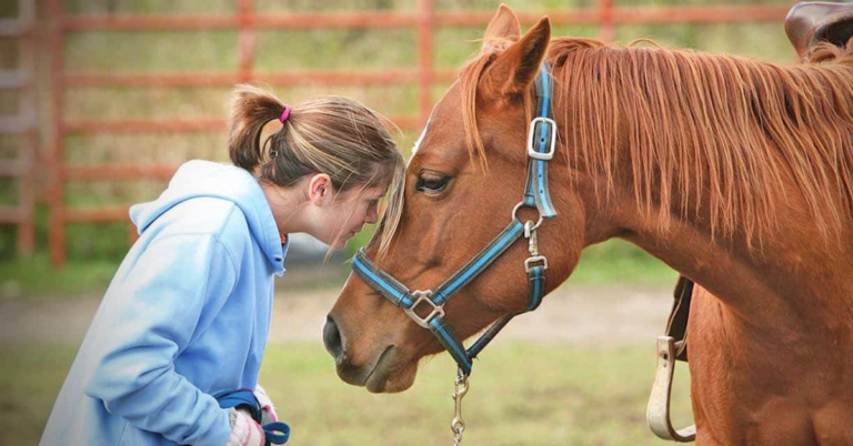 The Ultimate Guide to Equine Therapy Programs: Benefits and Techniques