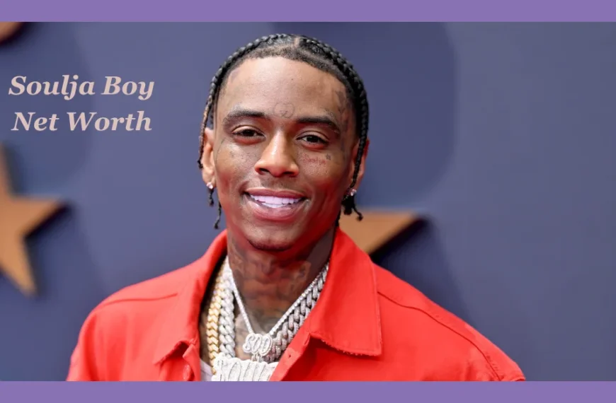 Soulja Boy Net Worth: From Viral Hitmaker to Cultural Icon