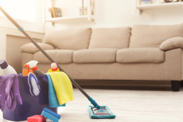 How to Choose the Right Apartment Cleaner for Your Needs