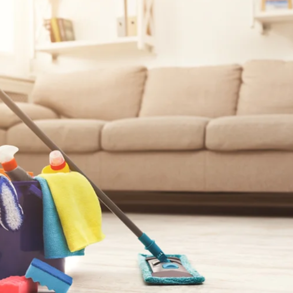 How to Choose the Right Apartment Cleaner for Your Needs