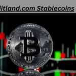 Biitland.com Stablecoins: The Future of Secure and Stable Digital Transactions