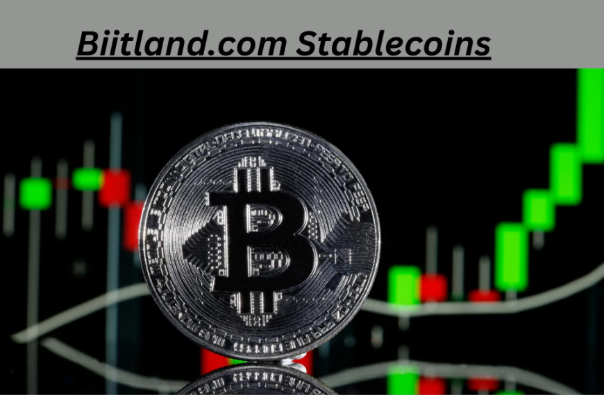 Biitland.com Stablecoins: The Future of Secure and Stable Digital Transactions