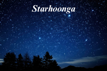 Starhoonga: The Future of Personalized AI Interactions