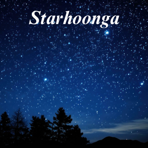 Starhoonga: The Future of Personalized AI Interactions